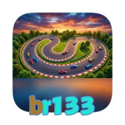 br133