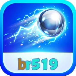 br519